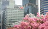 HSBC Hires Ex-Citi Corporate Banker in Singapore