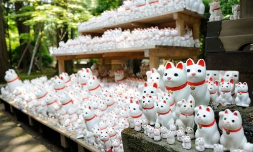 ood Fortune Cats (Maneki Neko)