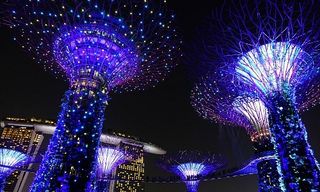 Gardens by the Bay, Singapore