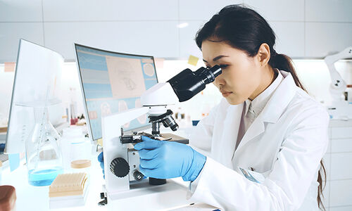 (Image: Courtesy of Bellevue)