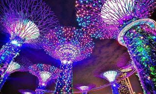 Gardens by The Bay, Singapore