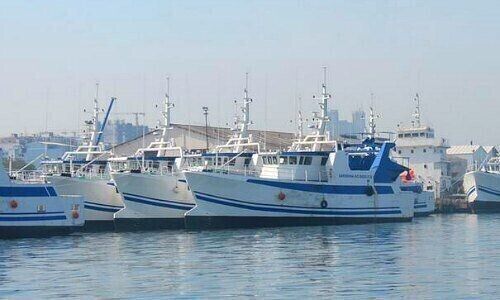 Tuna fishing fleet in Mosambique