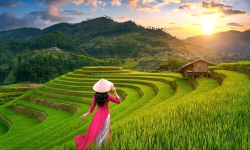 In Vietnam, One in Five Own Crypto